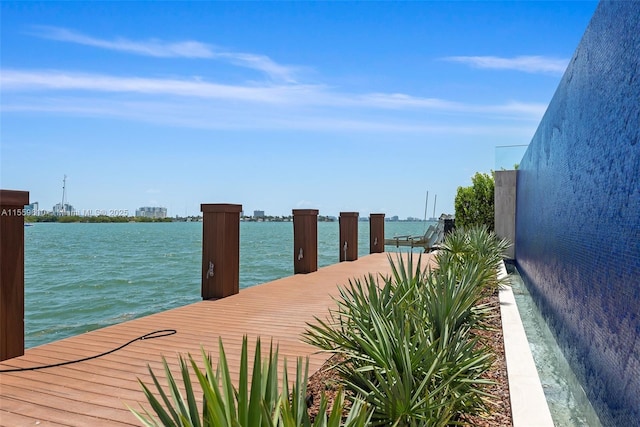 1133 Belle Meade Island Dr, Miami, FL 33138 - photo 30