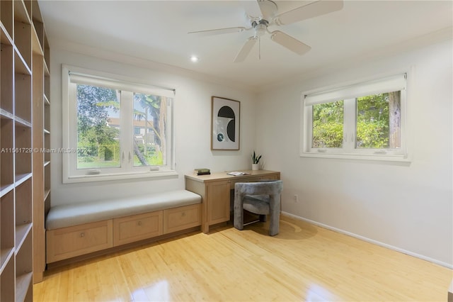 unfurnished room featuring ceiling fan, light hardwood / wood-style floors, and ornamental molding