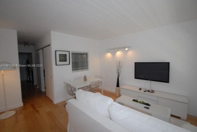 living room featuring light hardwood / wood-style flooring