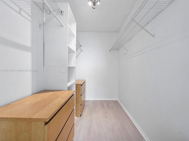 walk in closet featuring light hardwood / wood-style flooring