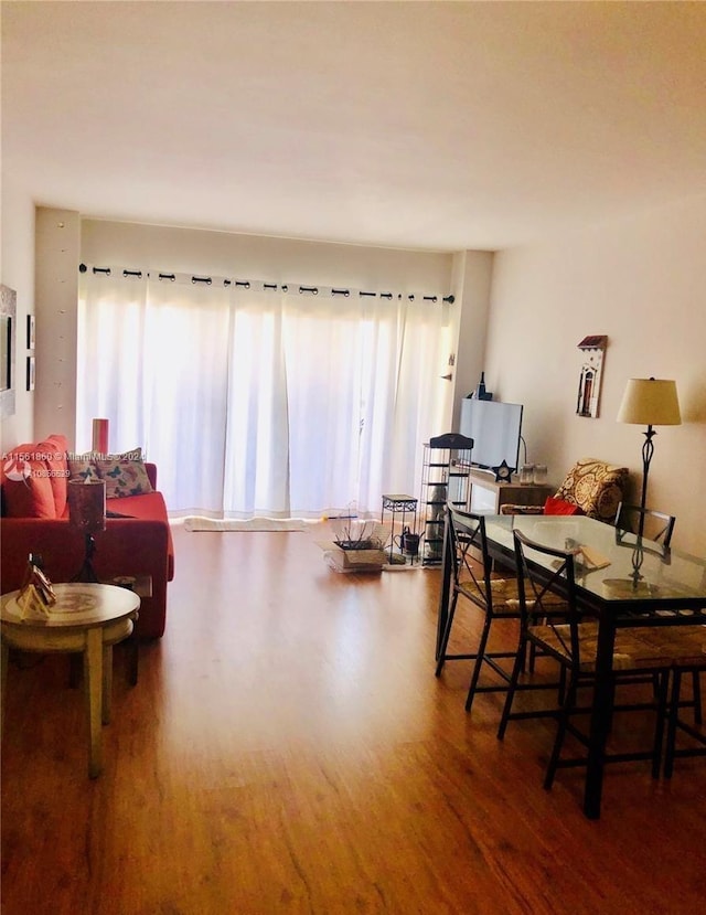 living room featuring hardwood / wood-style floors