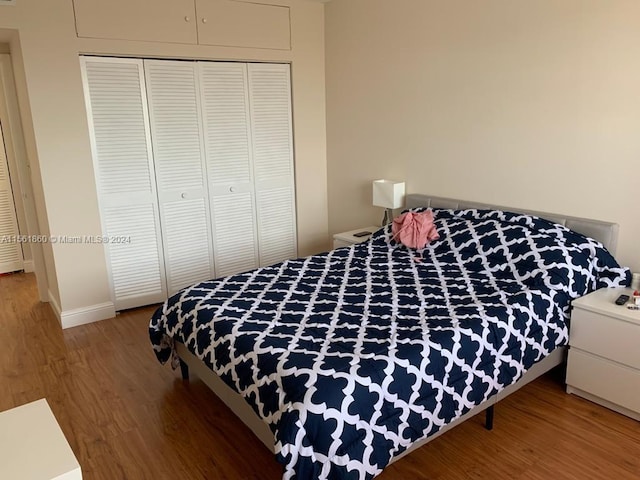 bedroom featuring a closet and wood-type flooring