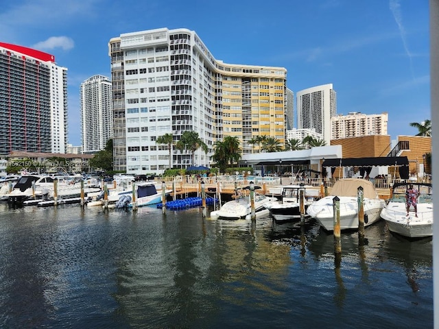 dock area with a water view