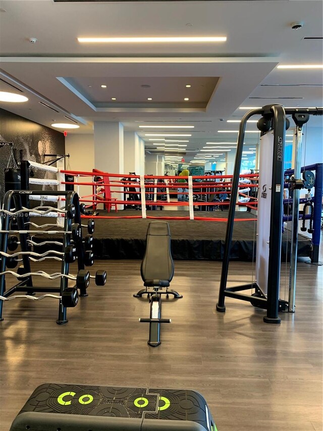 workout area featuring a tray ceiling and hardwood / wood-style flooring