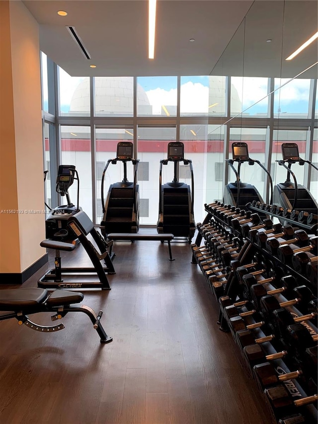 exercise room featuring a wall of windows and dark hardwood / wood-style flooring