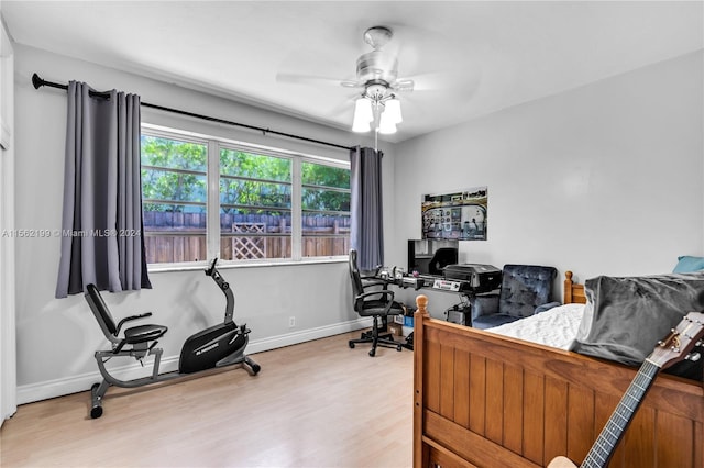 office with ceiling fan and light hardwood / wood-style floors