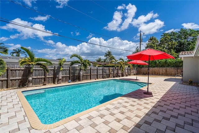 view of swimming pool featuring a patio