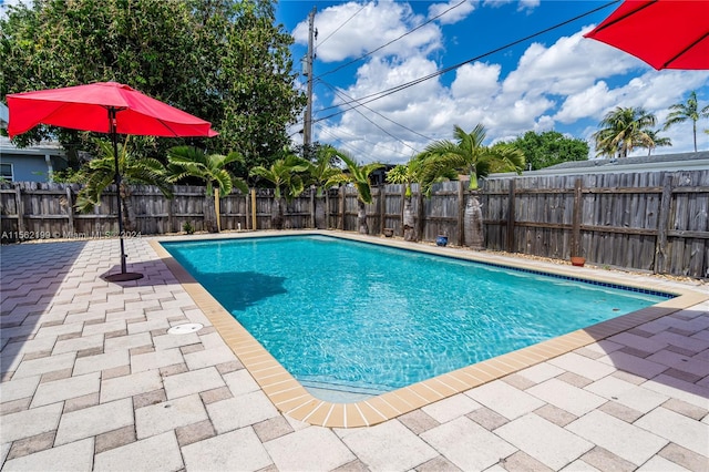 view of swimming pool featuring a patio area