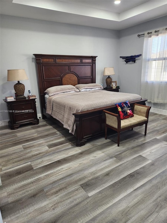 bedroom featuring wood-type flooring and a raised ceiling