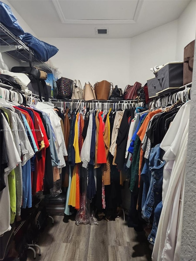 walk in closet featuring dark hardwood / wood-style floors