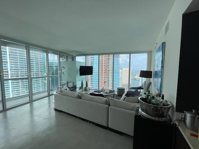 living room with floor to ceiling windows and a healthy amount of sunlight