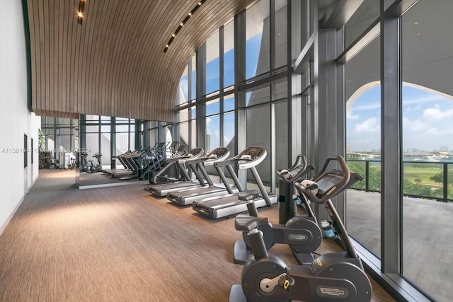 workout area featuring expansive windows, a high ceiling, and dark hardwood / wood-style flooring