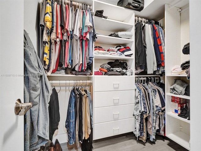 spacious closet featuring hardwood / wood-style floors