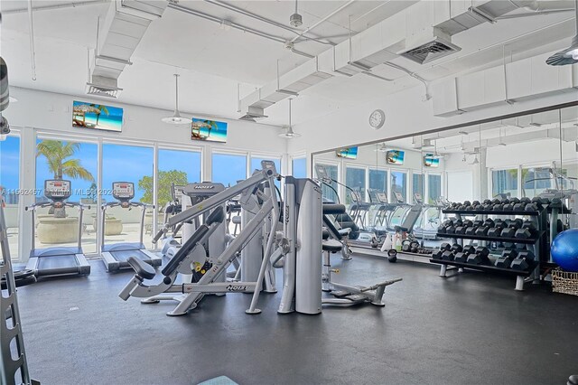 exercise room with plenty of natural light