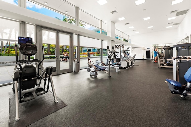 workout area featuring french doors and a towering ceiling