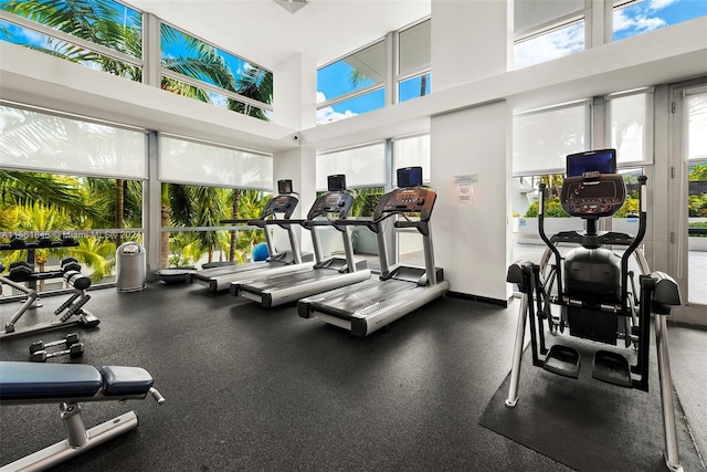 gym with a high ceiling and a wealth of natural light