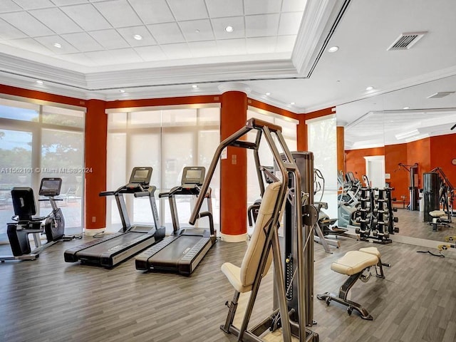 workout area featuring plenty of natural light, ornamental molding, and wood-type flooring