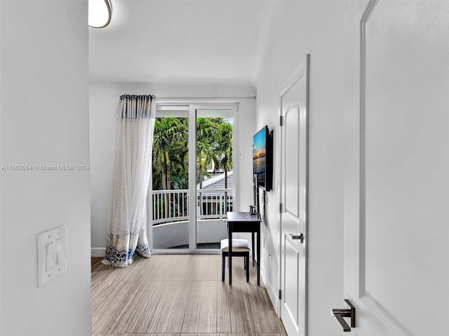 foyer entrance featuring light hardwood / wood-style floors