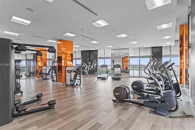 gym with light hardwood / wood-style flooring and expansive windows