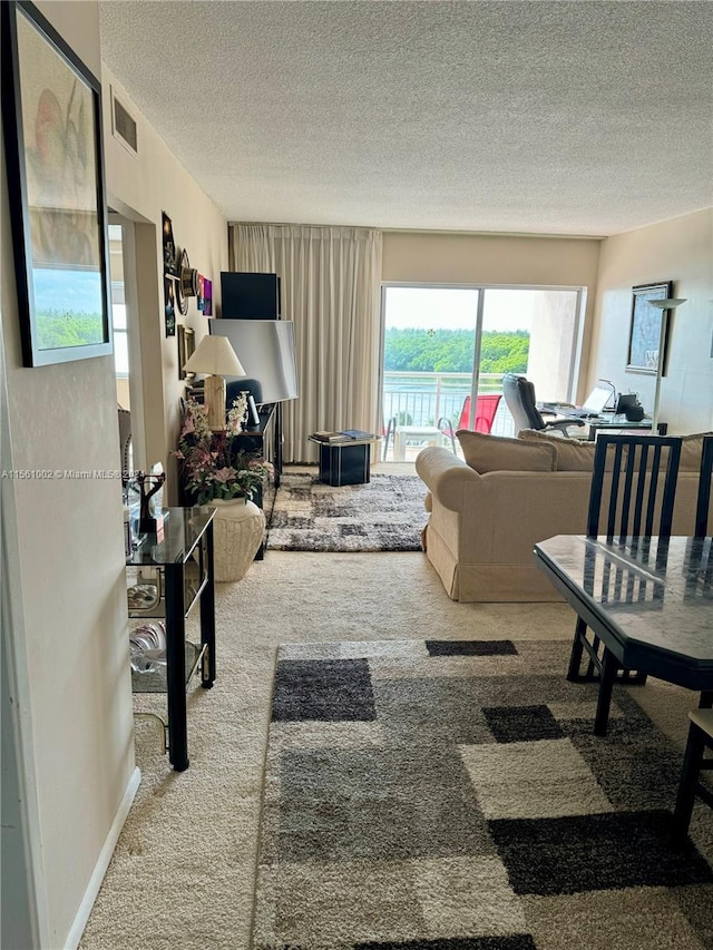 carpeted living room with a textured ceiling