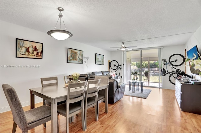 dining space featuring ceiling fan, light hardwood / wood-style flooring, and a textured ceiling