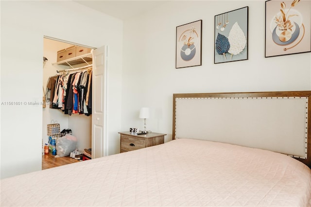 bedroom with a closet and wood-type flooring