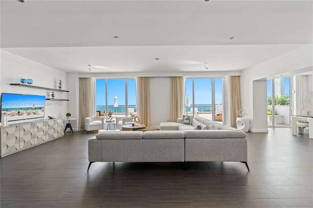 living room with a water view, plenty of natural light, and dark hardwood / wood-style floors