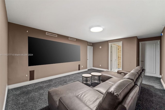 view of carpeted home theater