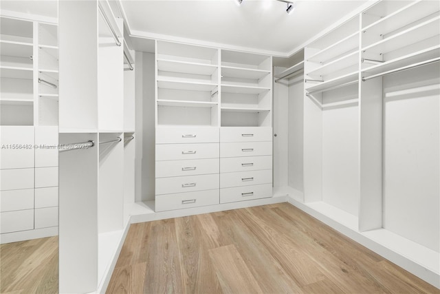 walk in closet with light wood-style flooring