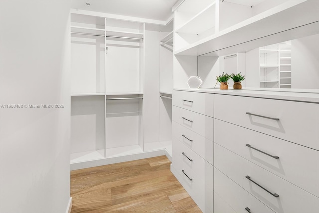 spacious closet featuring light wood finished floors