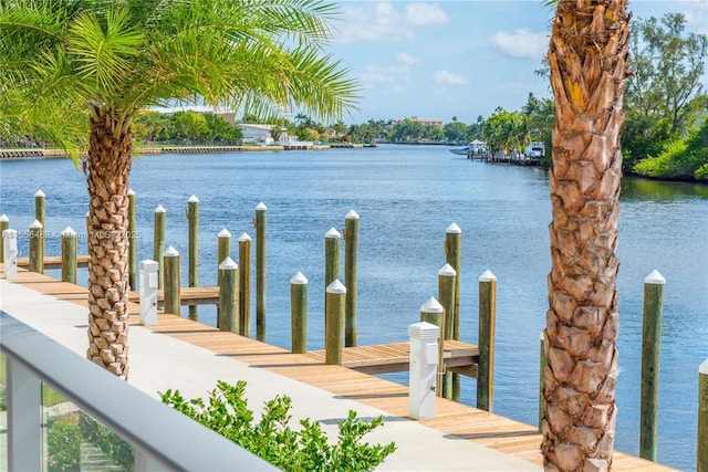 dock area with a water view