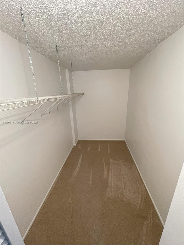 spacious closet with carpet flooring