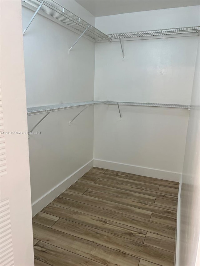 walk in closet featuring dark hardwood / wood-style floors