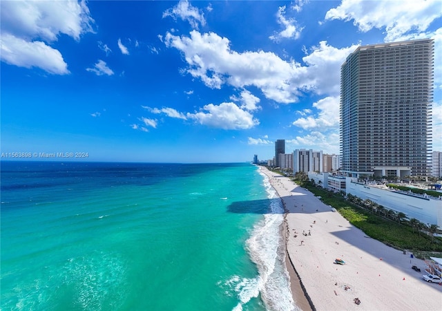 property view of water featuring a beach view