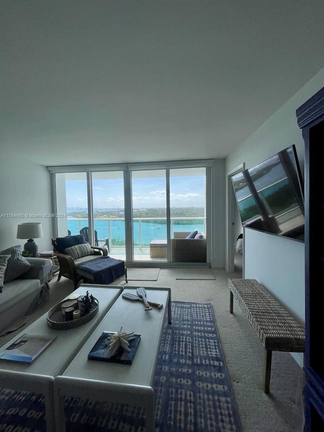 living room with a water view and carpet floors