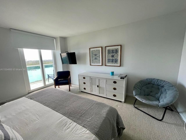 bedroom featuring light colored carpet and access to exterior