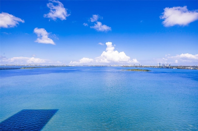 view of water feature