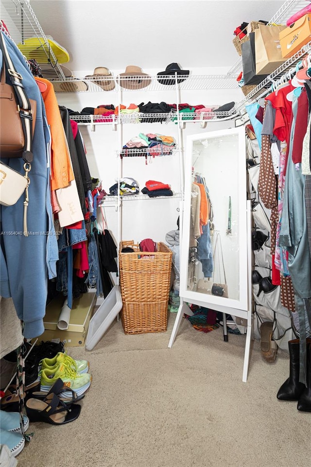 view of spacious closet