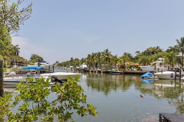 water view featuring a dock