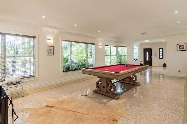 playroom featuring ornamental molding, plenty of natural light, and pool table