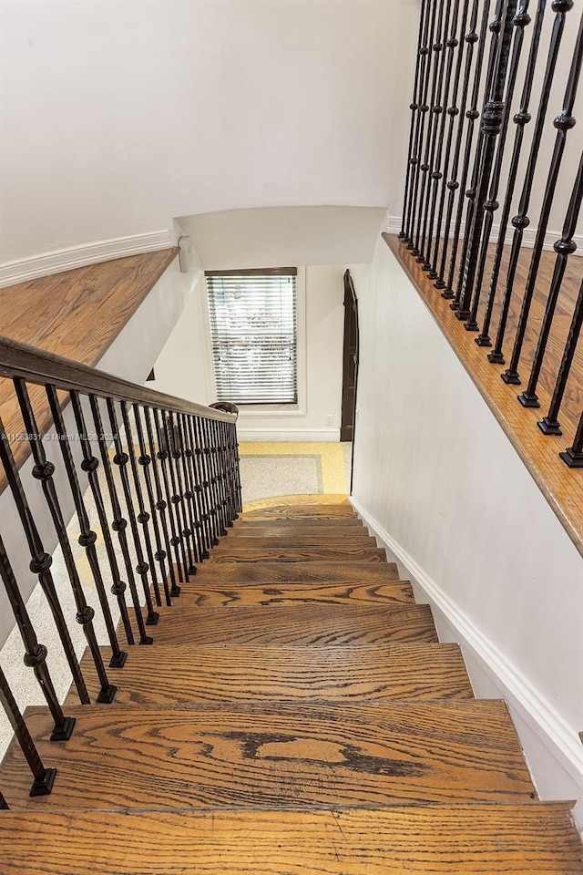 staircase with dark hardwood / wood-style flooring