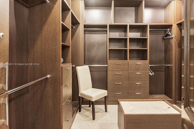 spacious closet with light colored carpet