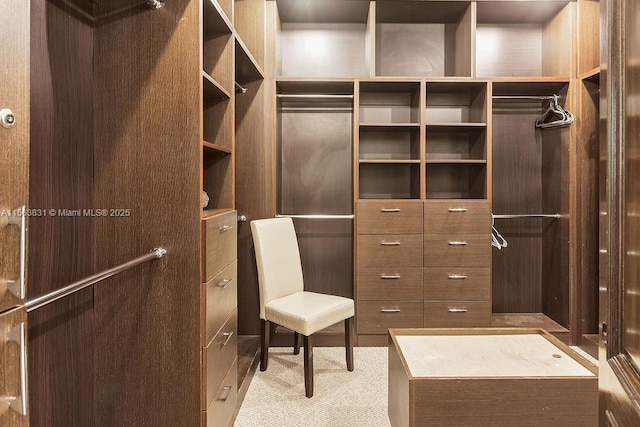 1051 NE 89th St, Miami, FL 33138 - view of walk in closet