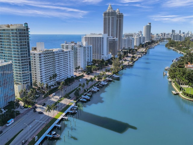 aerial view with a water view