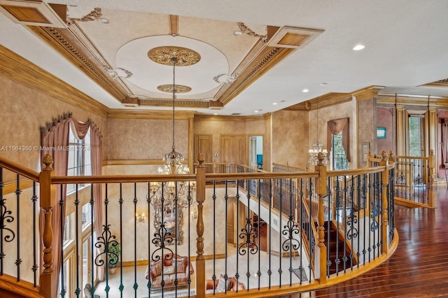 hall featuring crown molding, a healthy amount of sunlight, dark hardwood / wood-style floors, and a raised ceiling