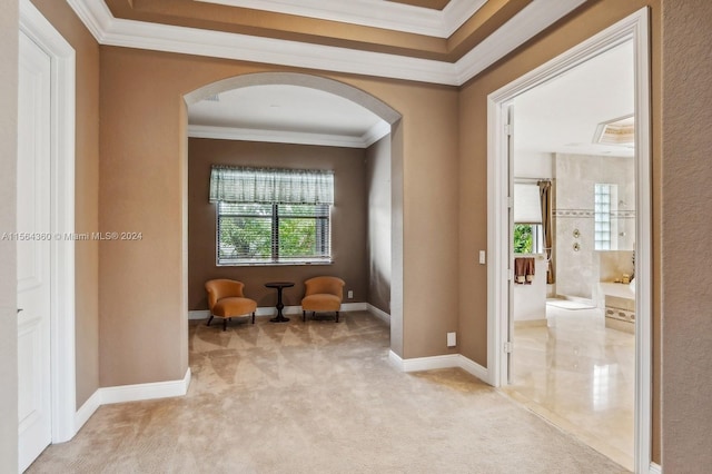 living area featuring crown molding and carpet floors