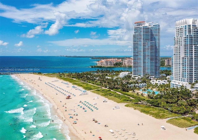 property view of water featuring a city view and a beach view