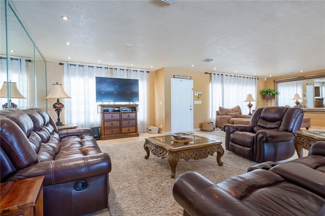 living room featuring carpet and a textured ceiling