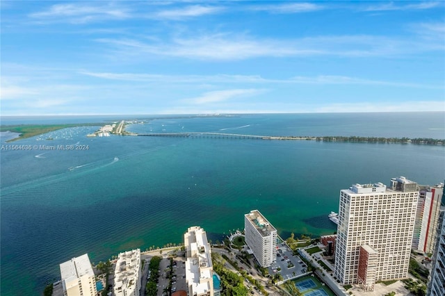 aerial view with a water view