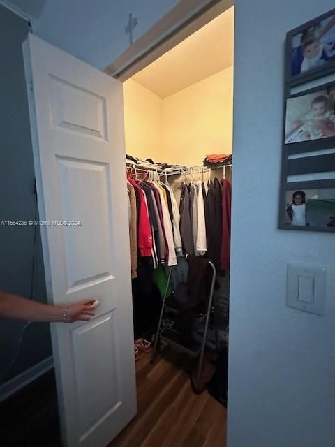 spacious closet featuring dark wood-type flooring